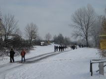 IMG_2272.JPG