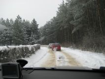 IMG_2441.JPG