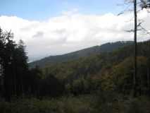 Obraz 7286.jpg