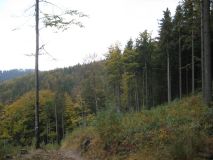 Obraz 7287.jpg