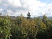 Obraz 7309.jpg